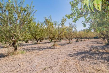 Venta de finca rústica en Dúrcal