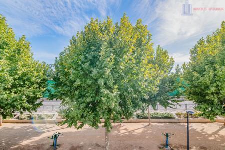 Venta de piso en Cijuela