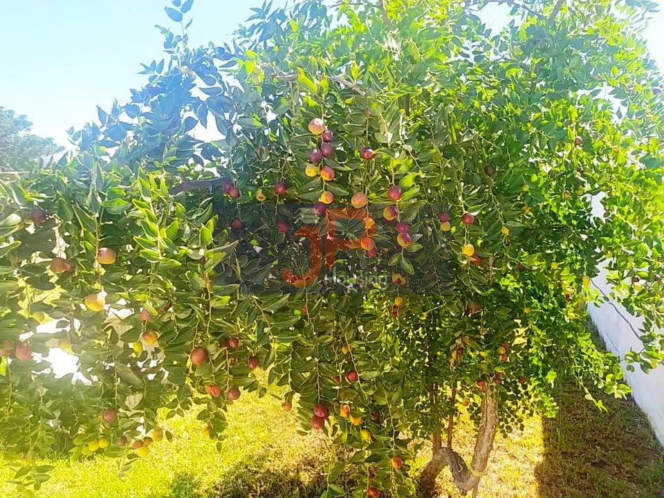 For sale of rural property in El Puerto de Santa María