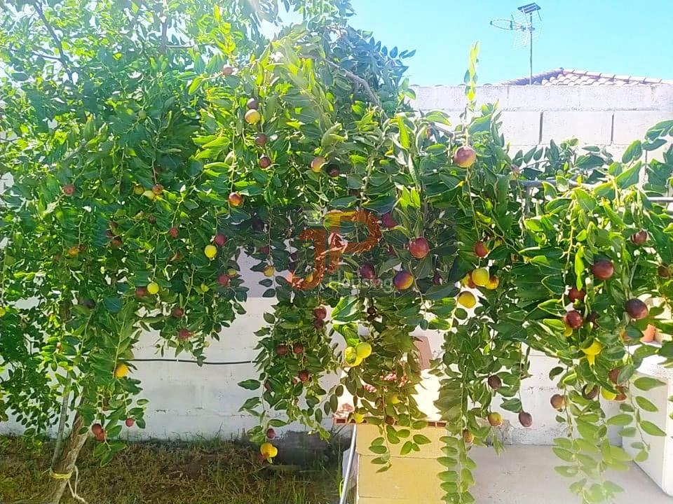 For sale of rural property in El Puerto de Santa María