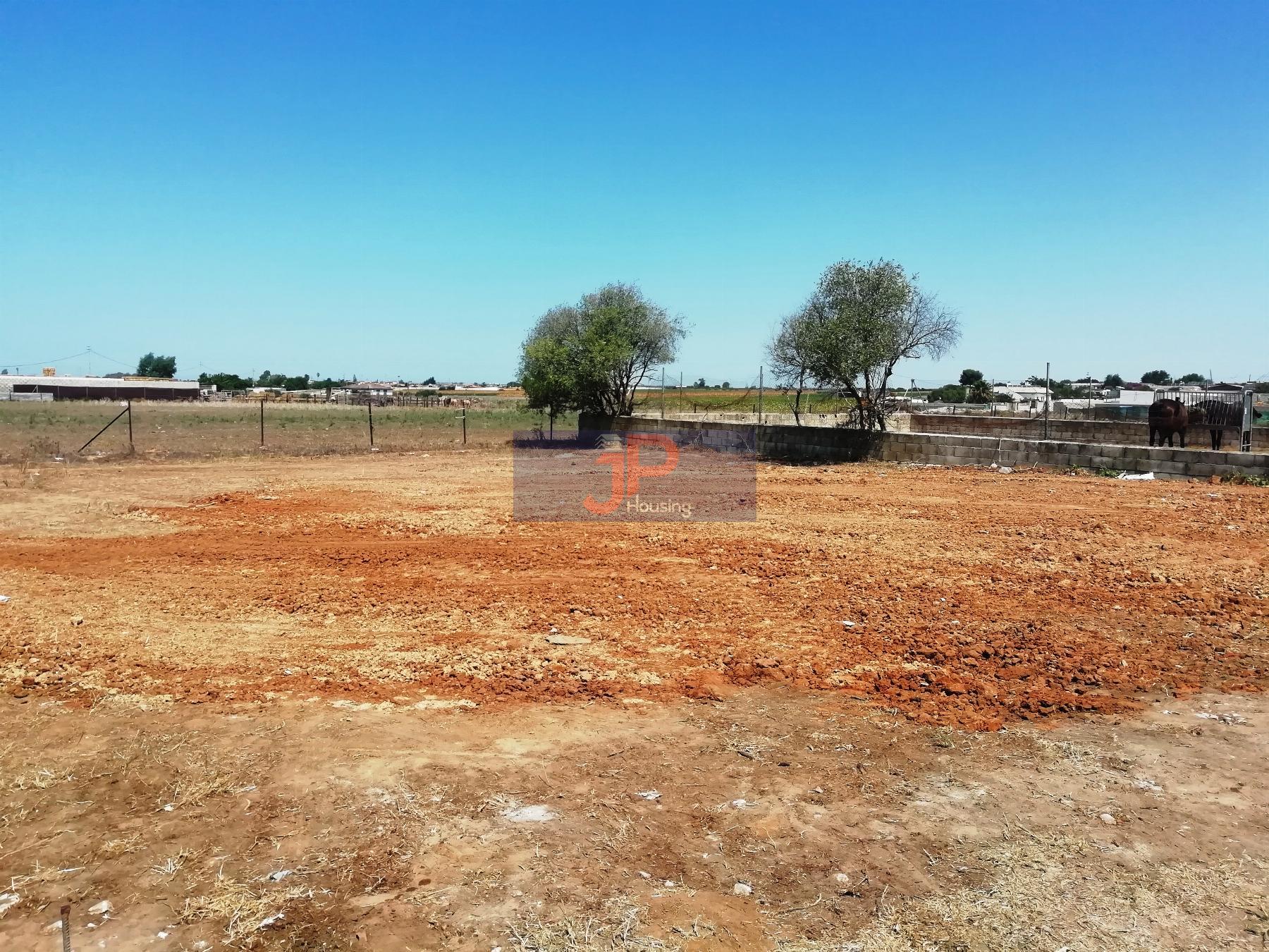 Ground