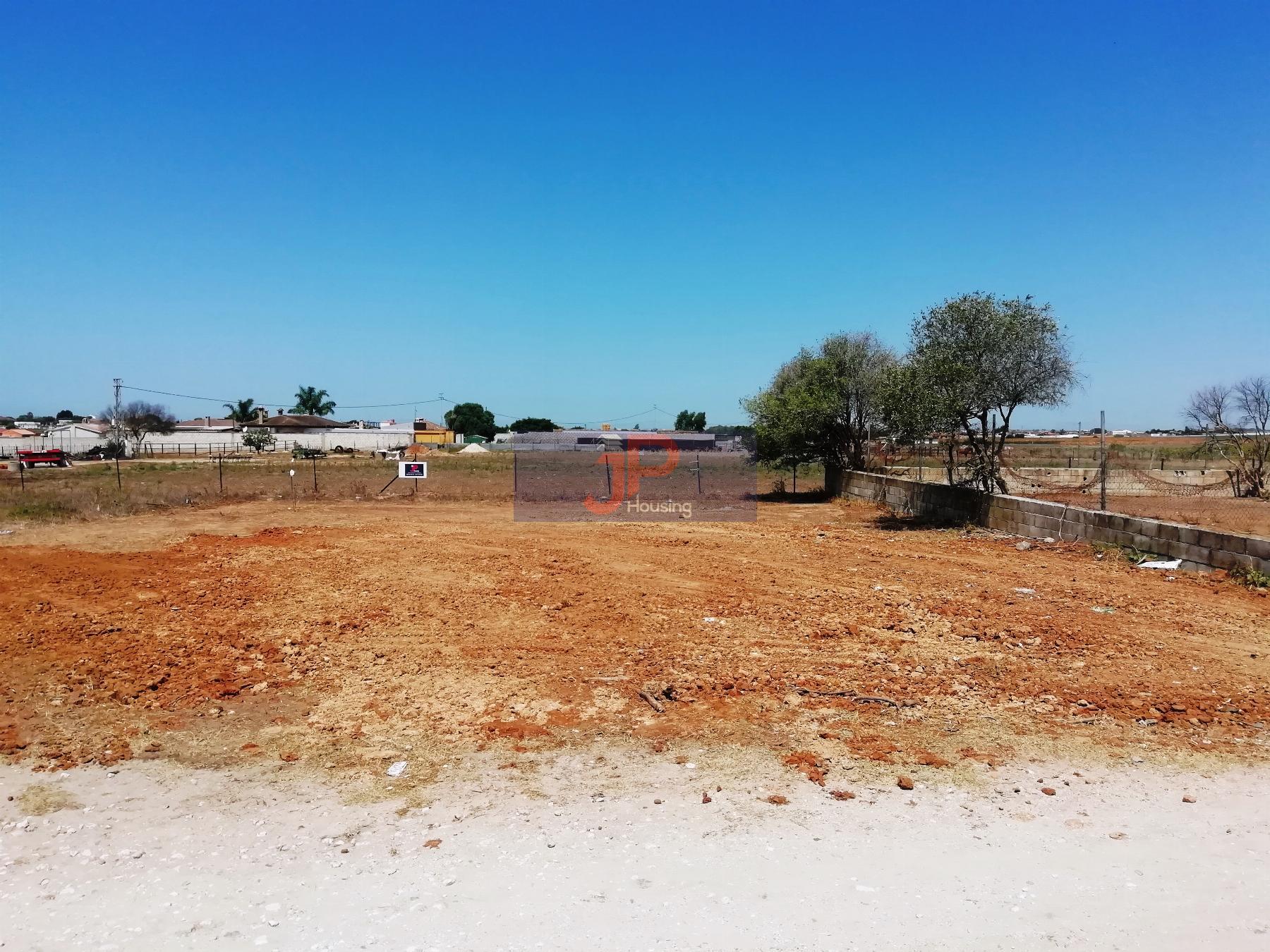 Ground