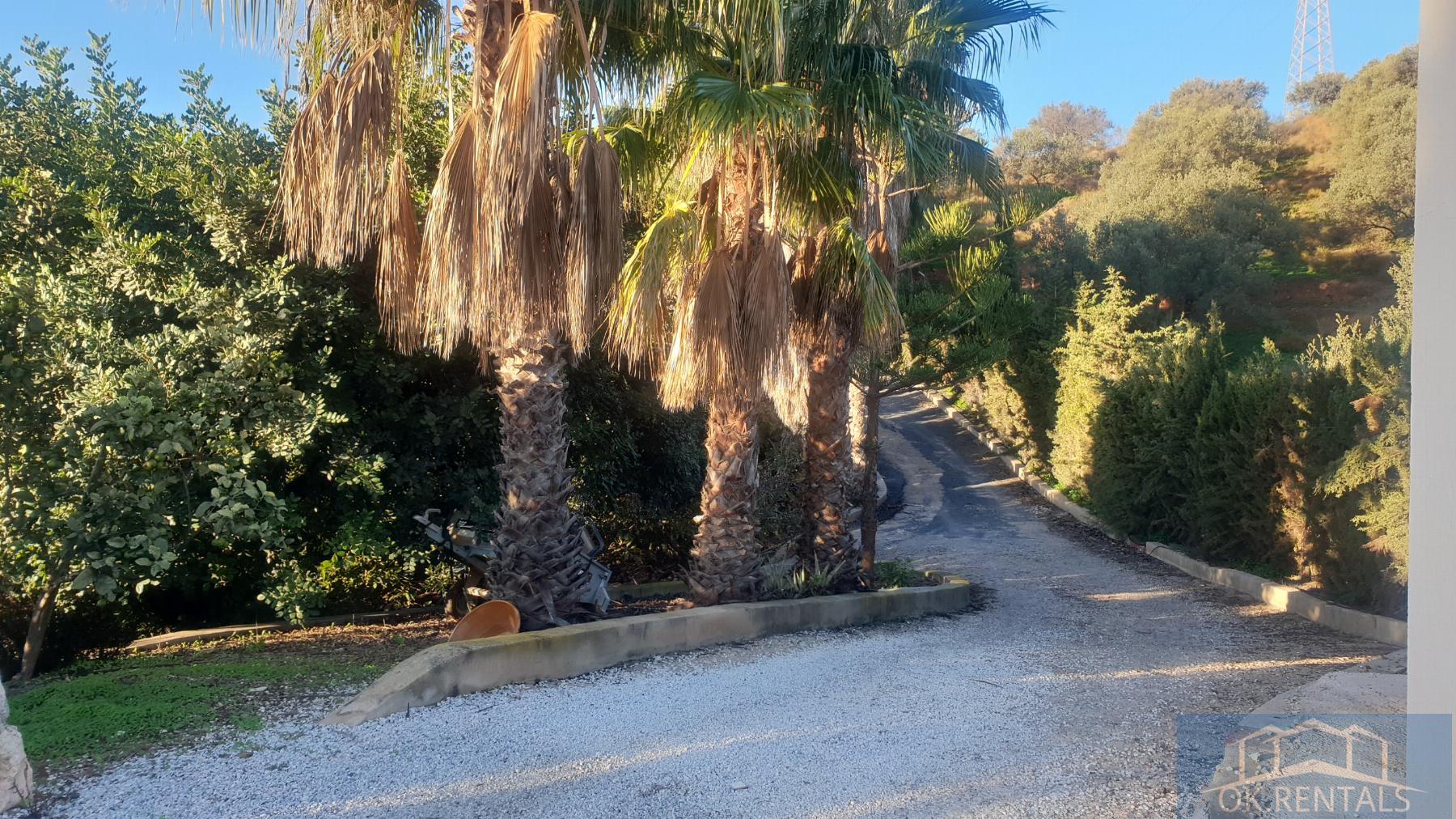 For sale of rural property in Benajarafe