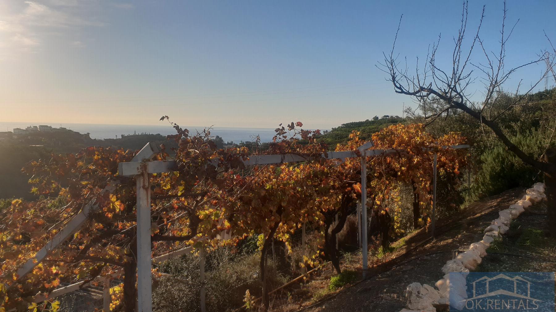 For sale of rural property in Benajarafe