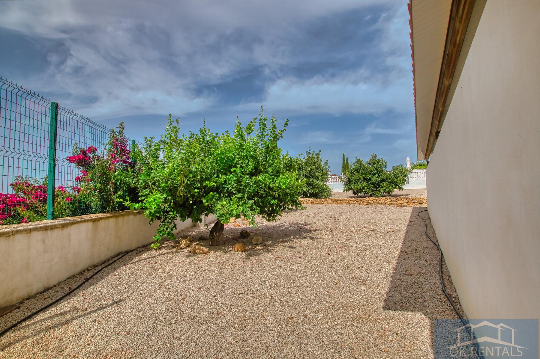 Venta de finca rústica en Periana