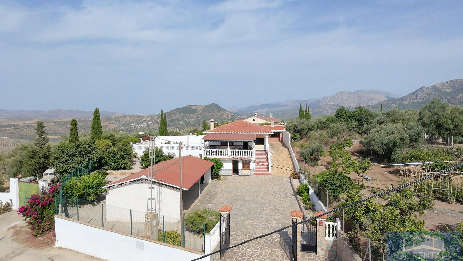 Venta de finca rústica en Periana
