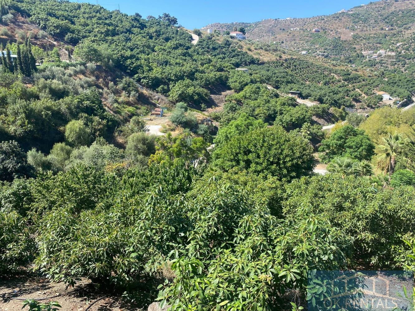 For sale of rural property in Torrox