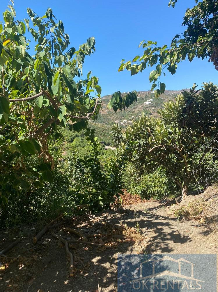 For sale of rural property in Torrox