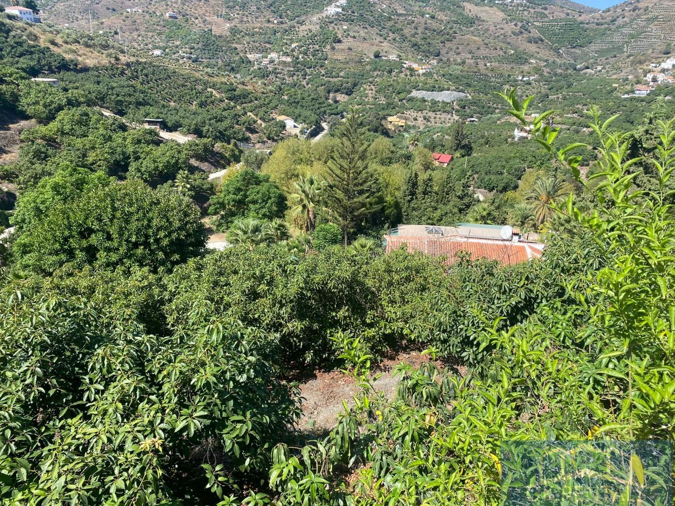 For sale of rural property in Torrox