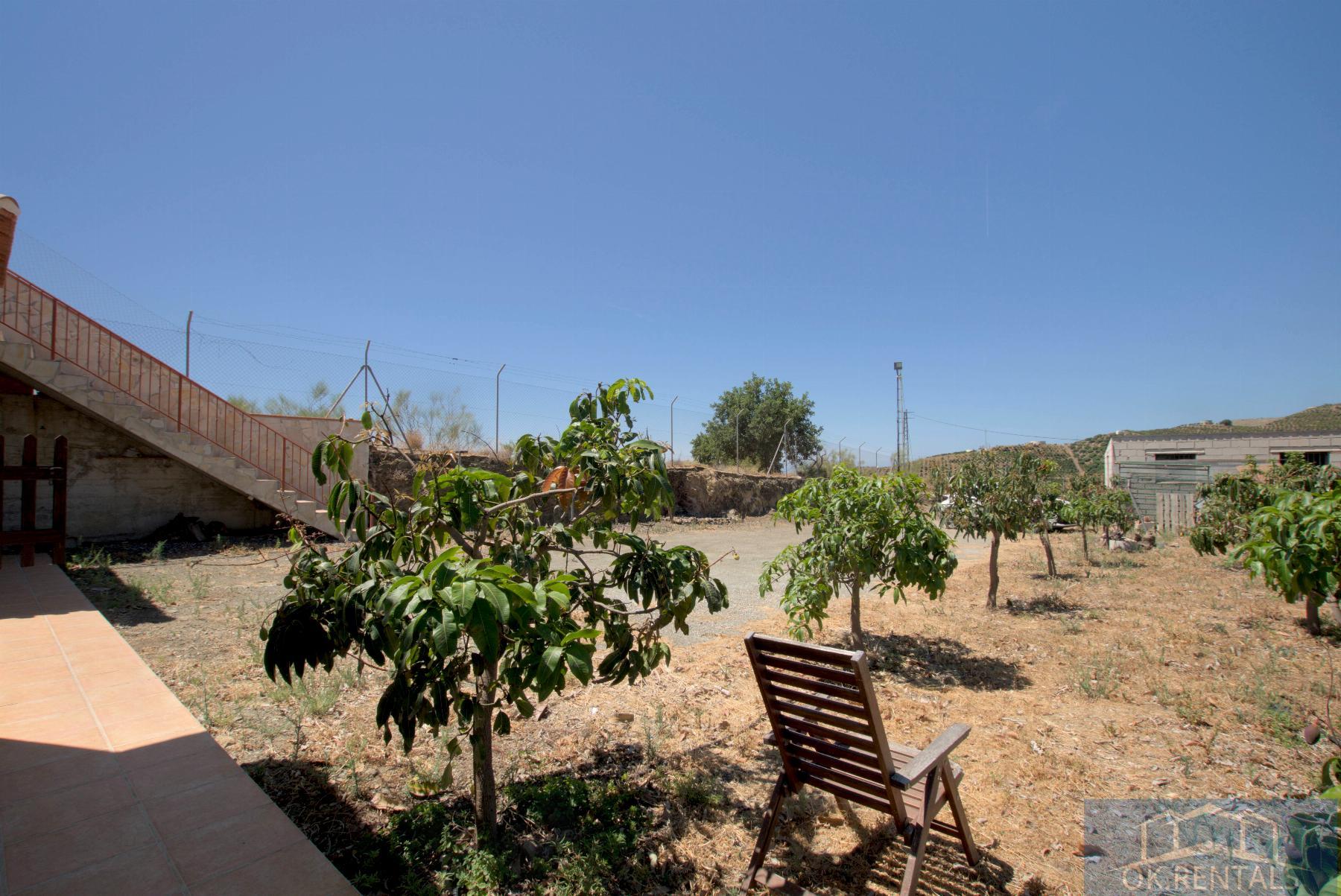 Venta de finca rústica en Almayate Bajo