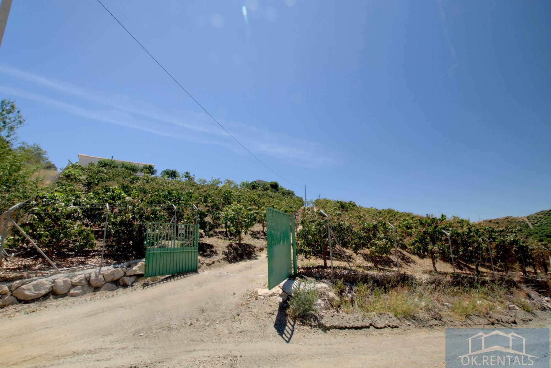 Venta de finca rústica en Almayate Bajo