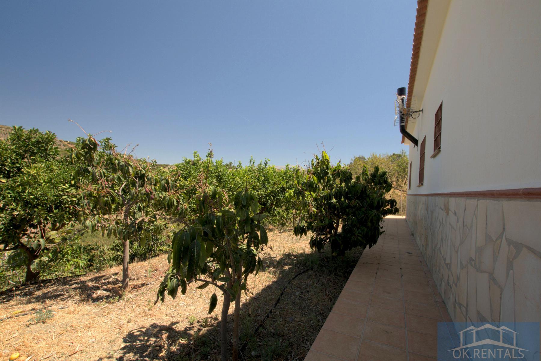 Venta de finca rústica en Almayate Bajo