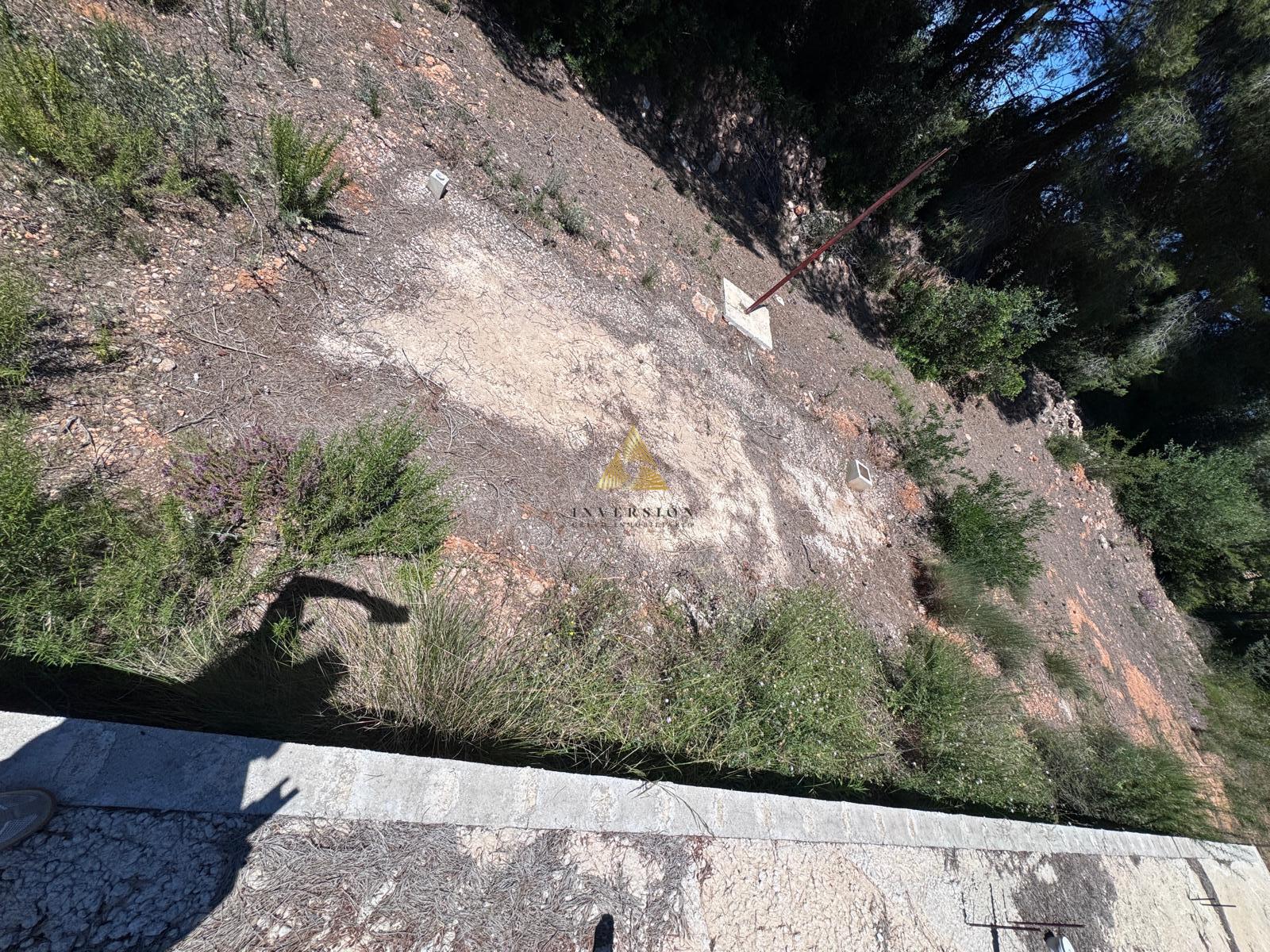 Venta de finca rústica en Vinaroz