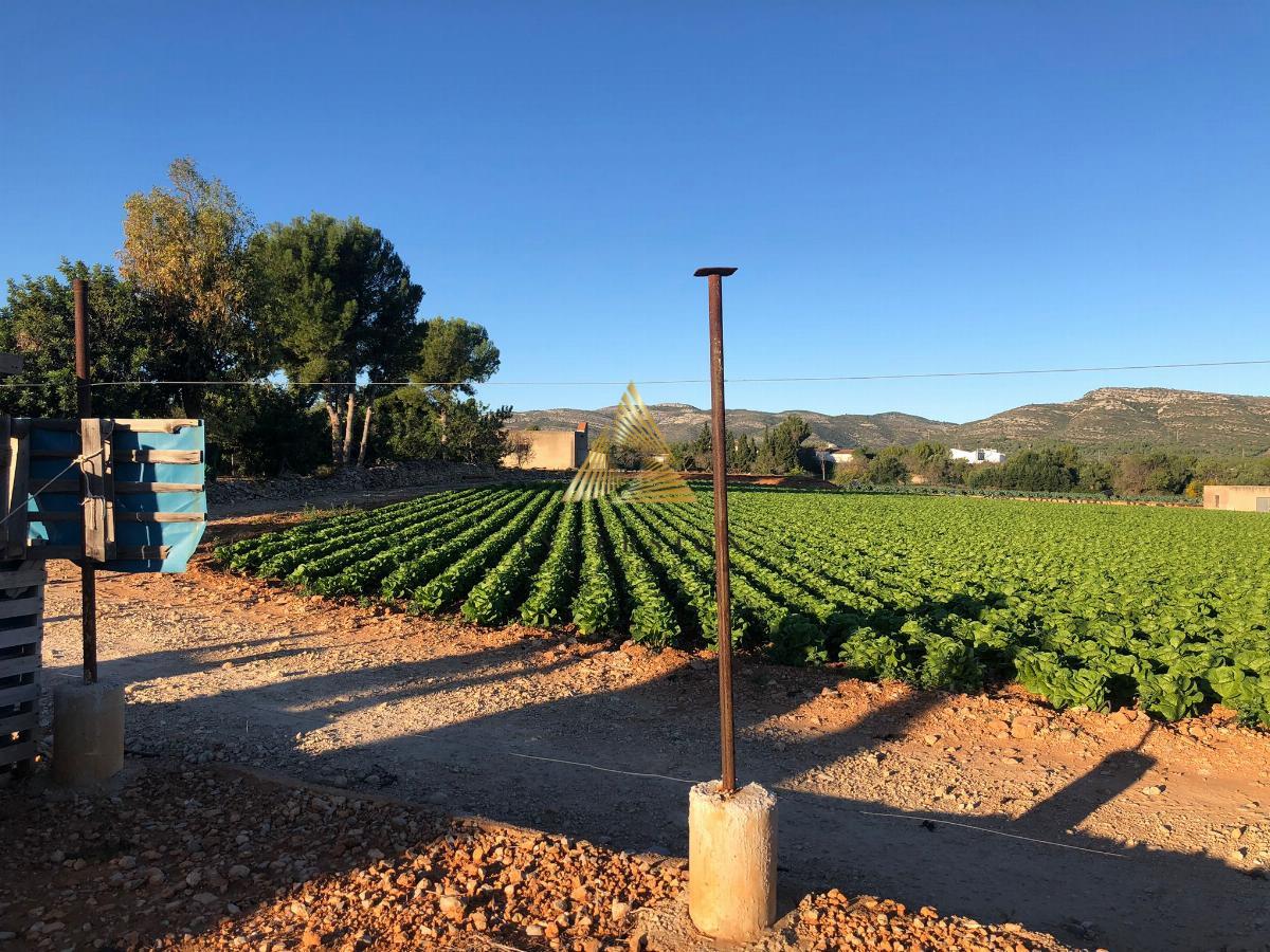 Venta de terreno en Peñíscola