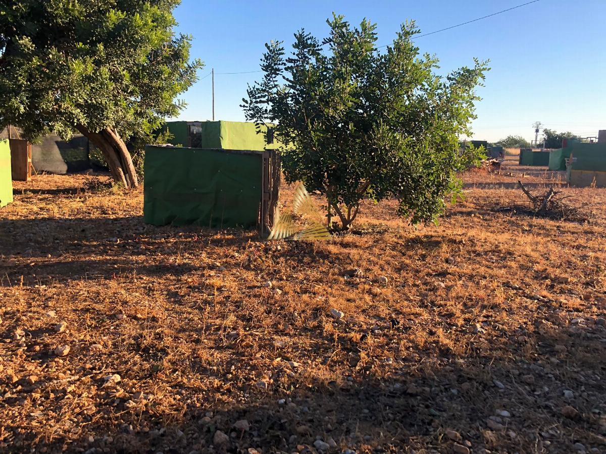 Venta de terreno en Peñíscola