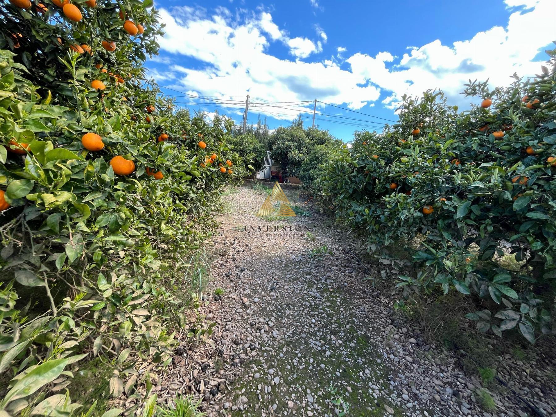 Venta de terreno en Benicarló
