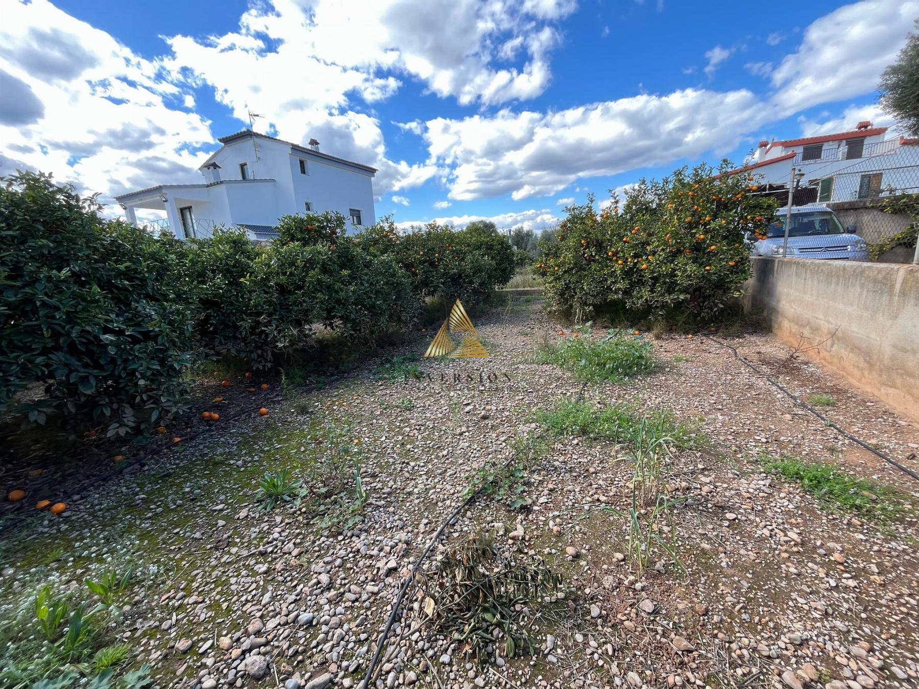 Venta de terreno en Benicarló