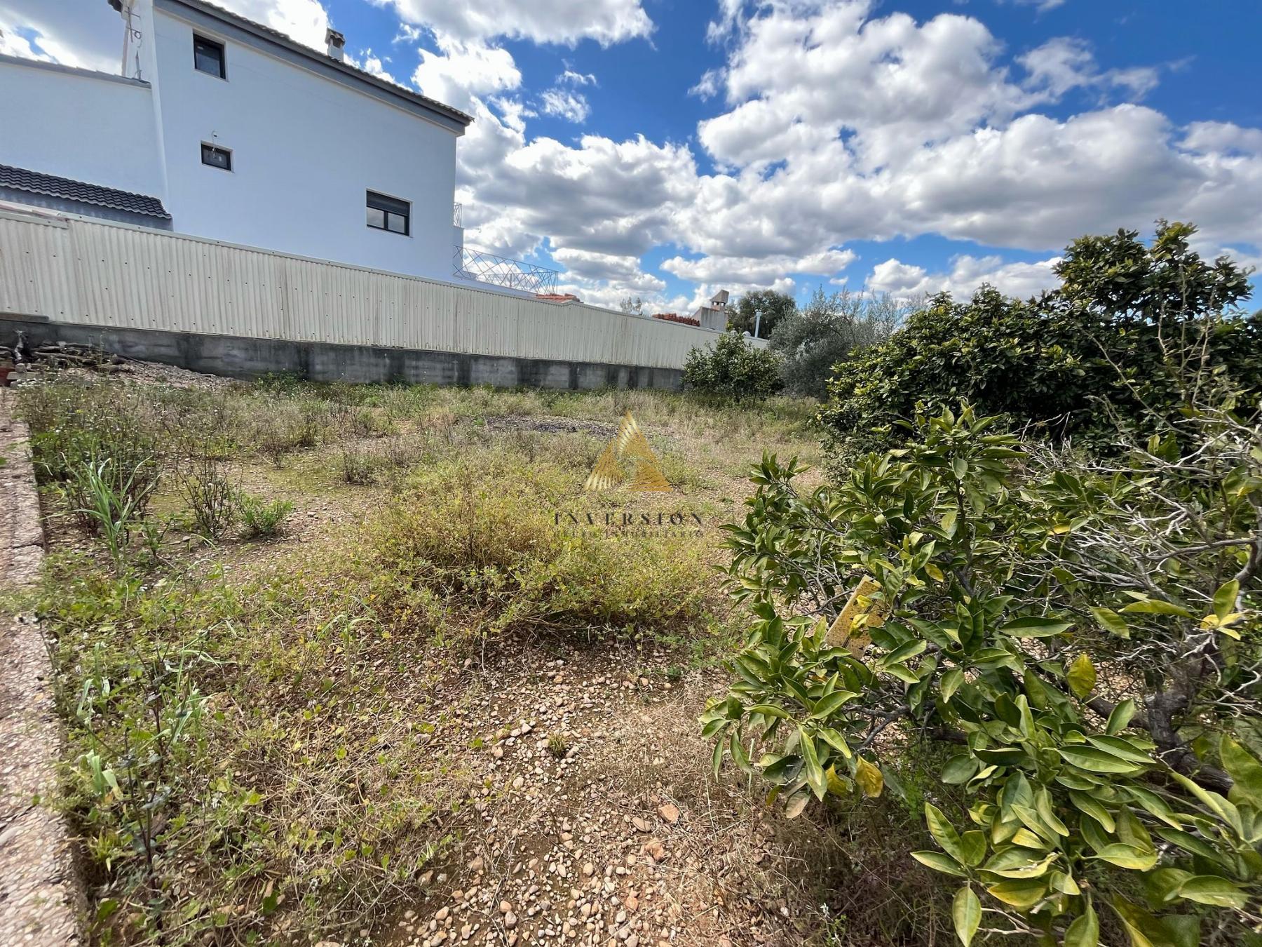 Venta de terreno en Benicarló