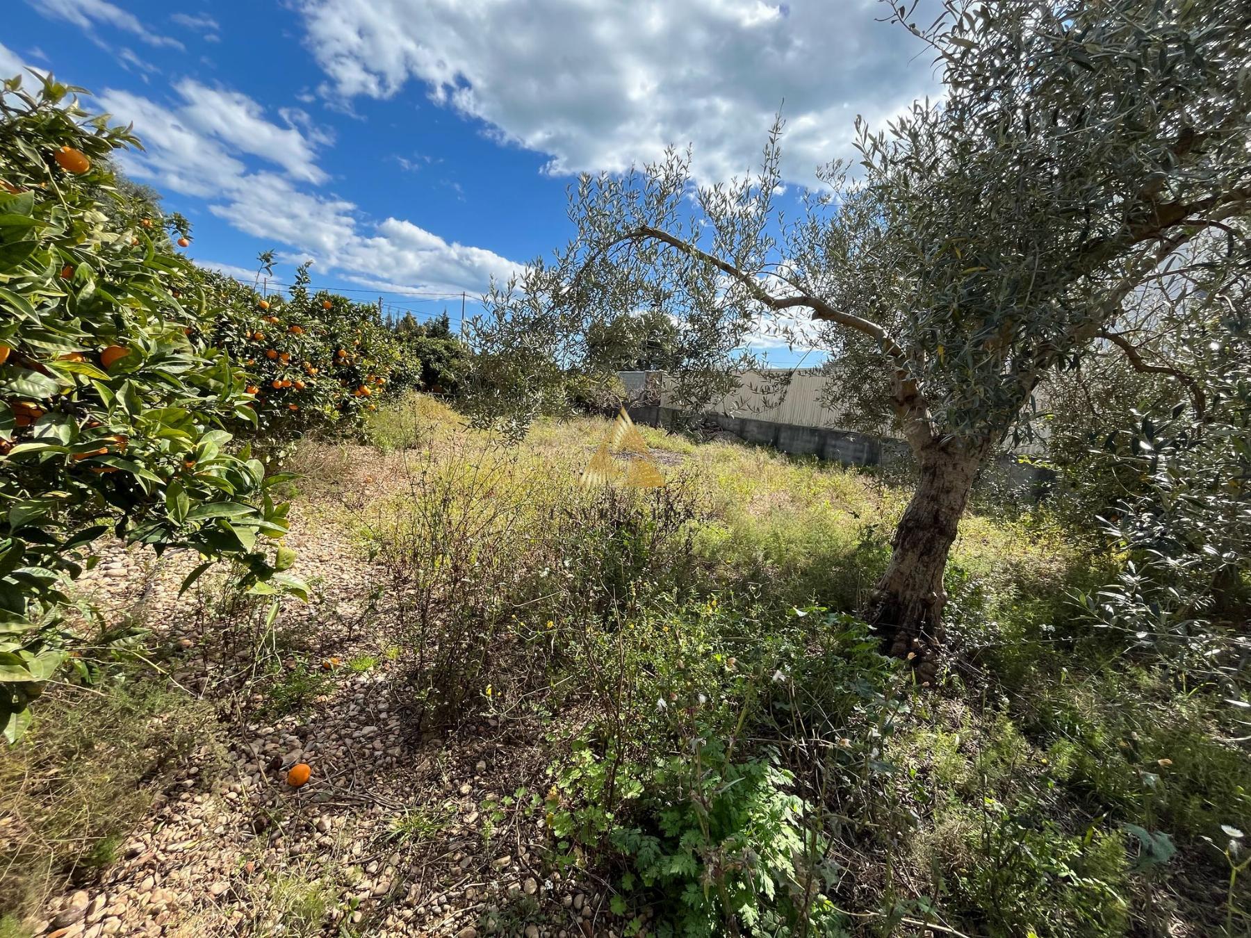 Venta de terreno en Benicarló