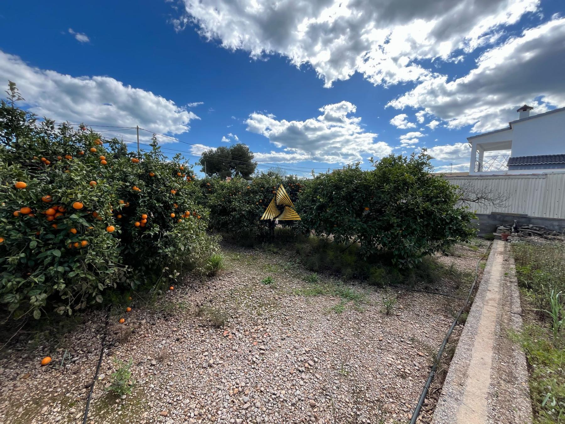 Venta de terreno en Benicarló