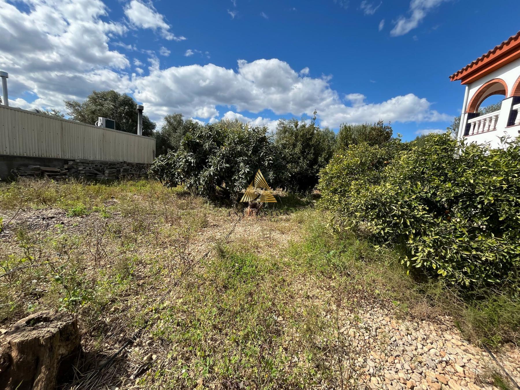 Venta de terreno en Benicarló
