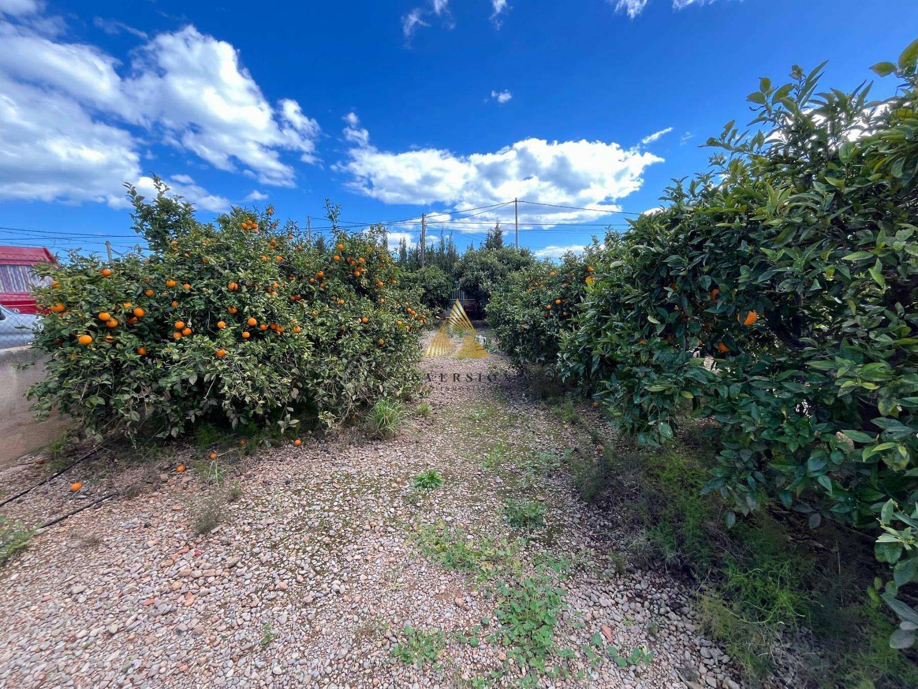 Venta de terreno en Benicarló