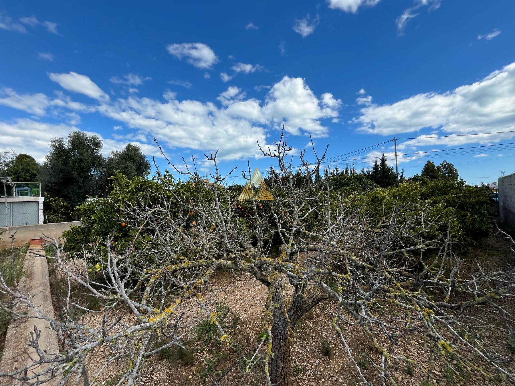 Venta de terreno en Benicarló