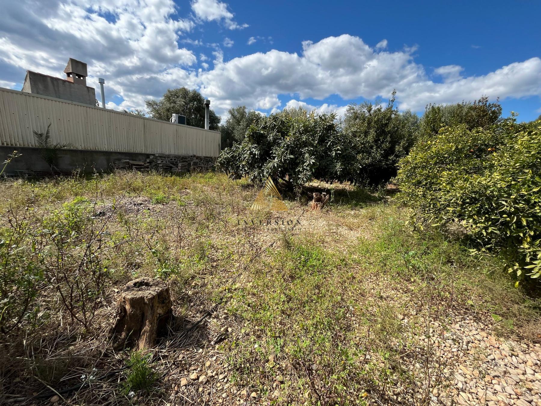 Venta de terreno en Benicarló