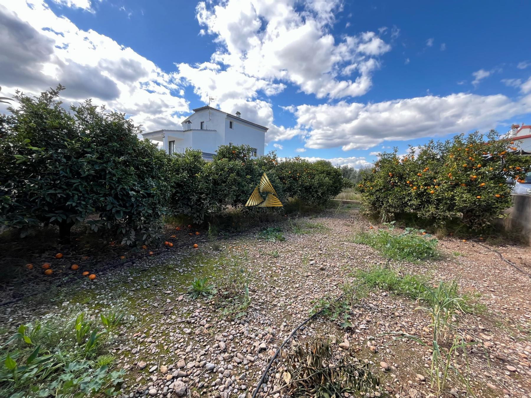 Venta de terreno en Benicarló