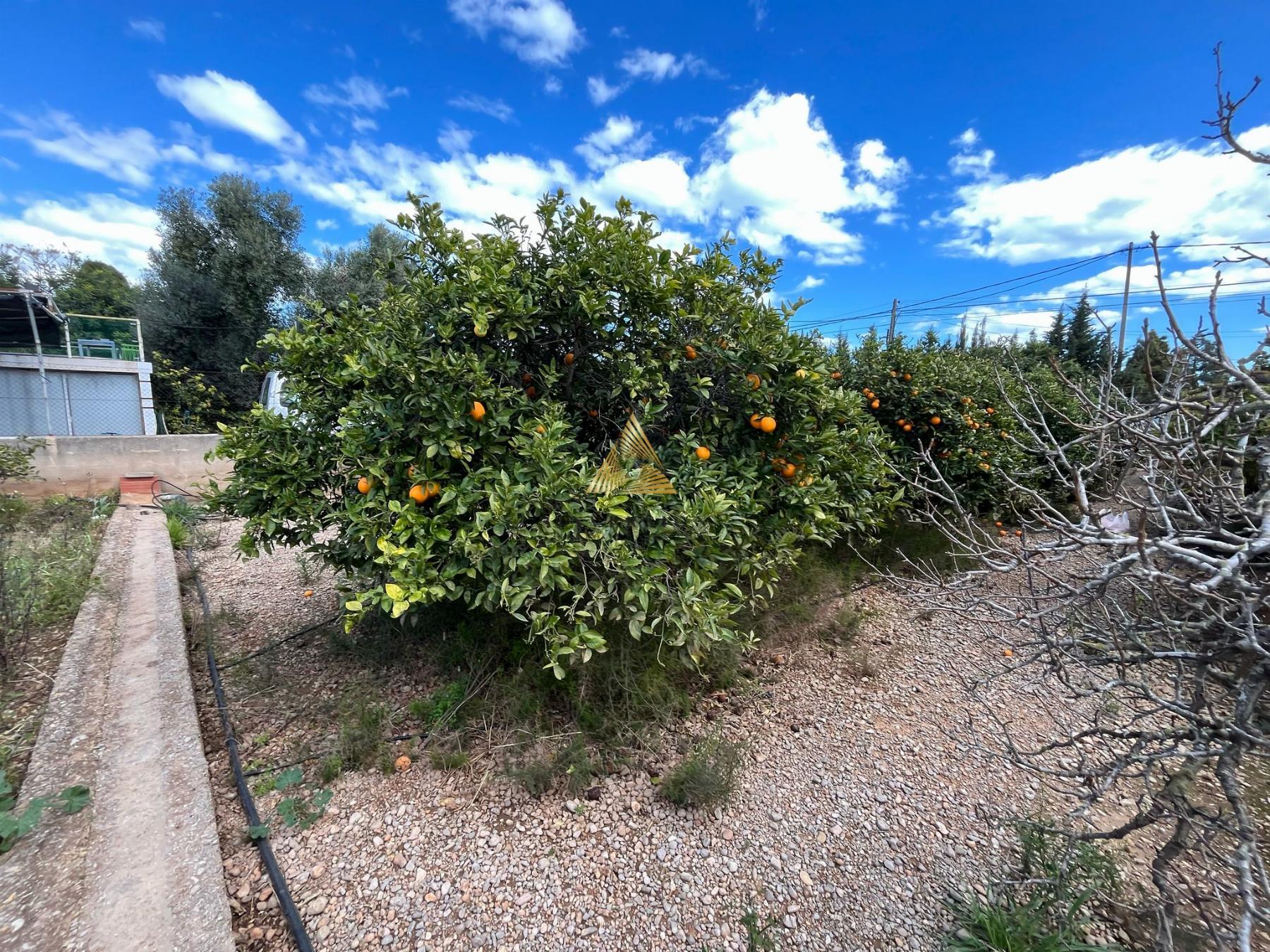 Venta de terreno en Benicarló