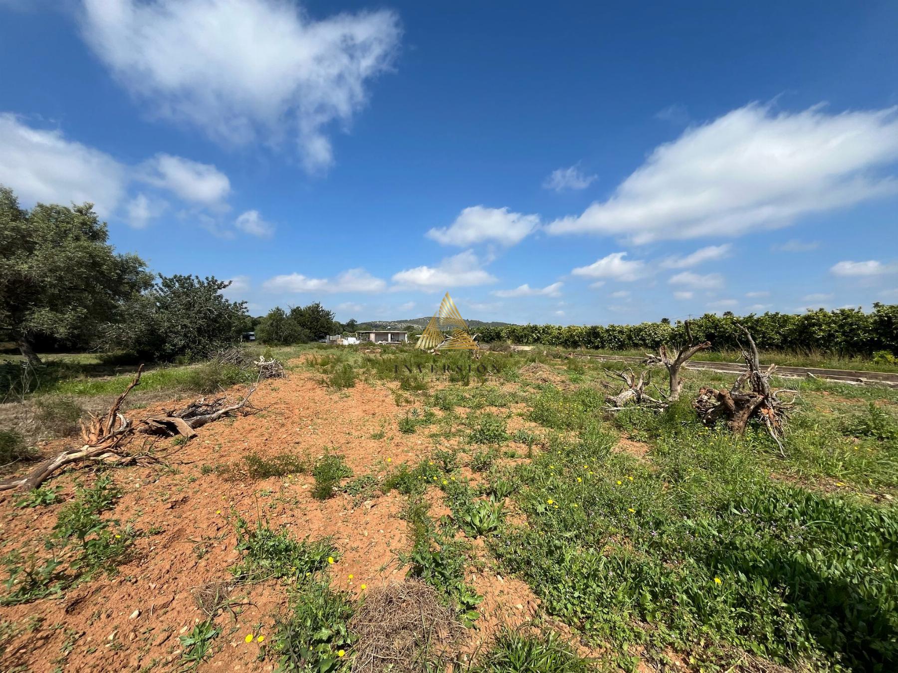 Venta de finca rústica en Benicarló