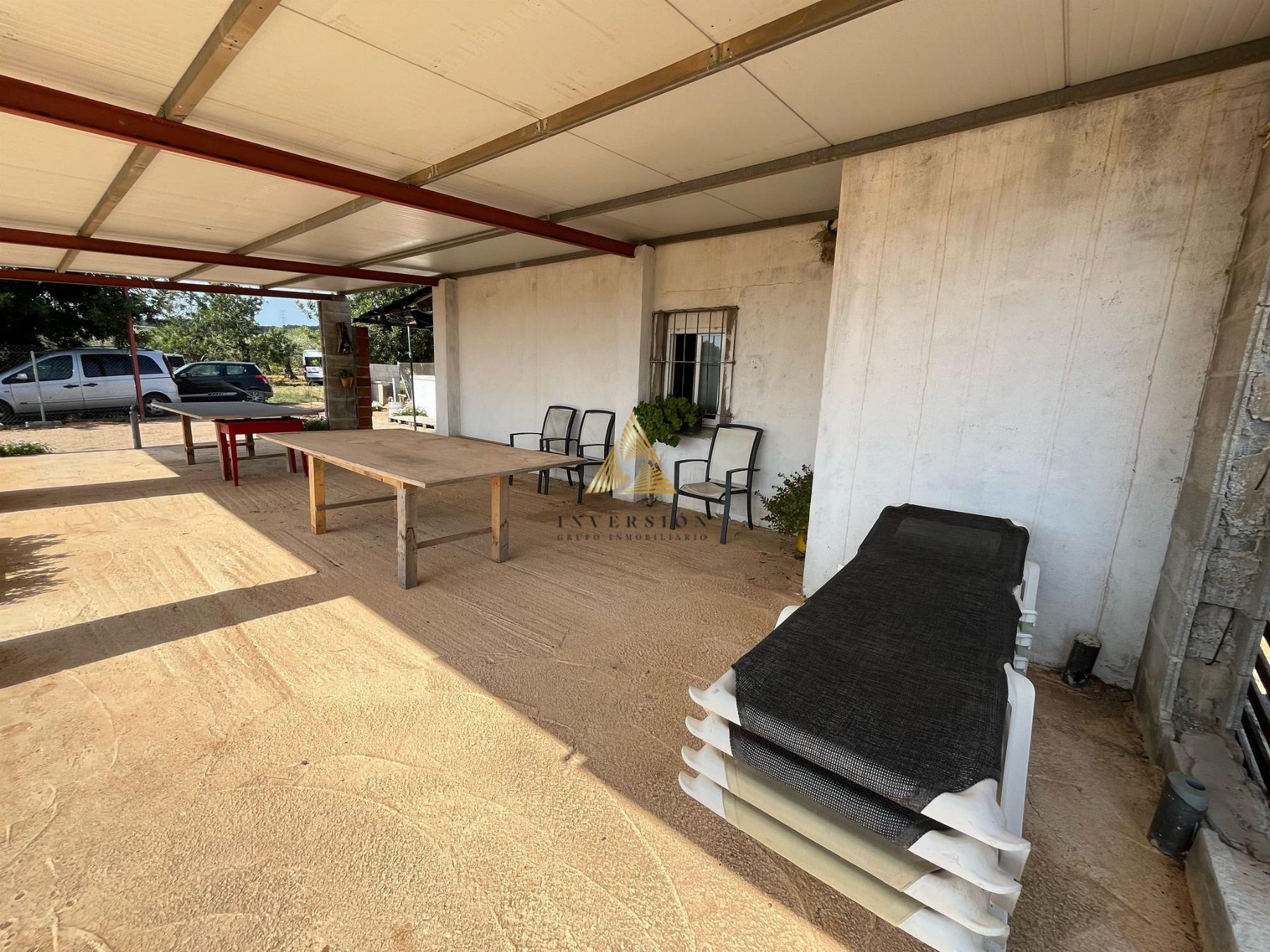 Venta de finca rústica en Benicarló