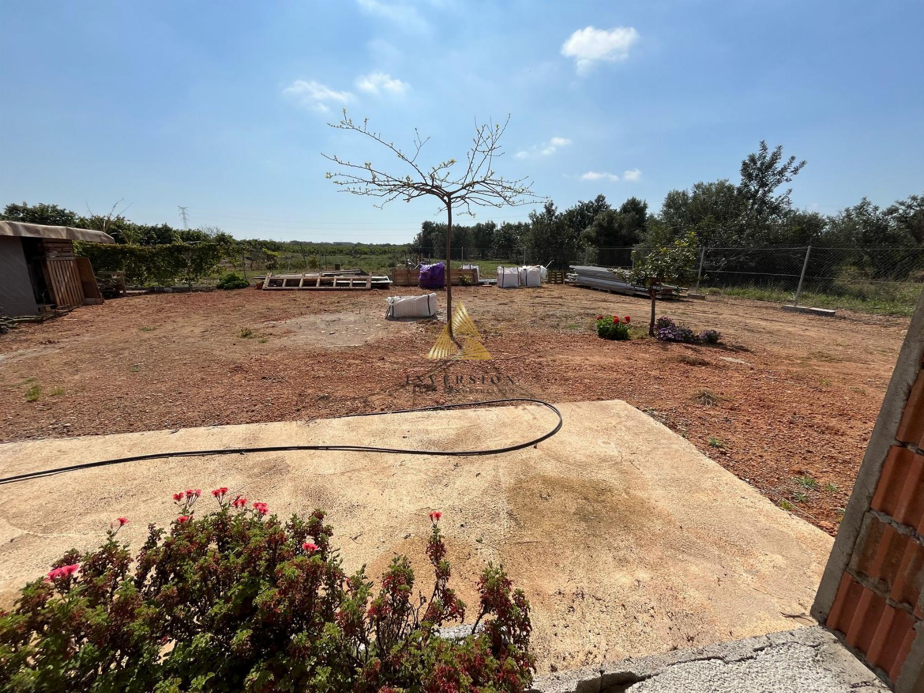 Venta de finca rústica en Benicarló
