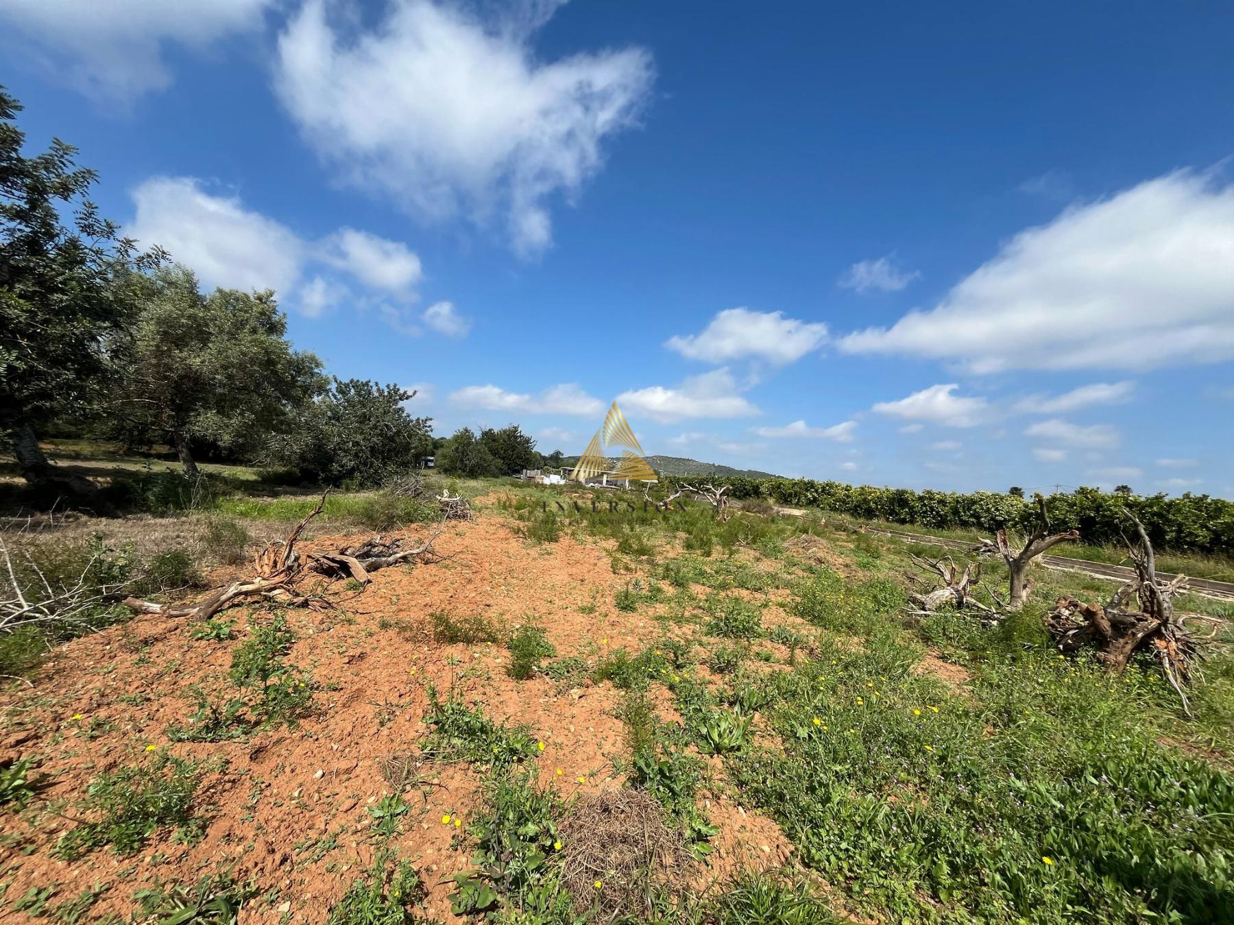 Venta de finca rústica en Benicarló
