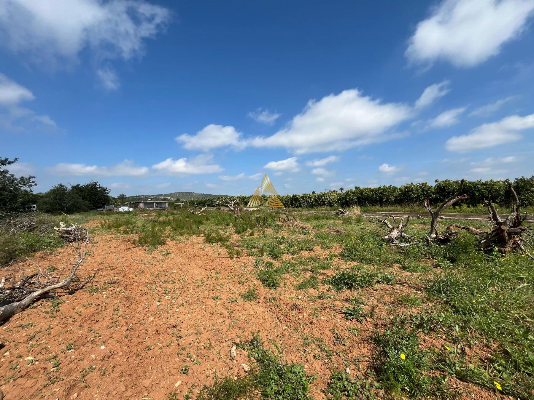 Venta de finca rústica en Benicarló