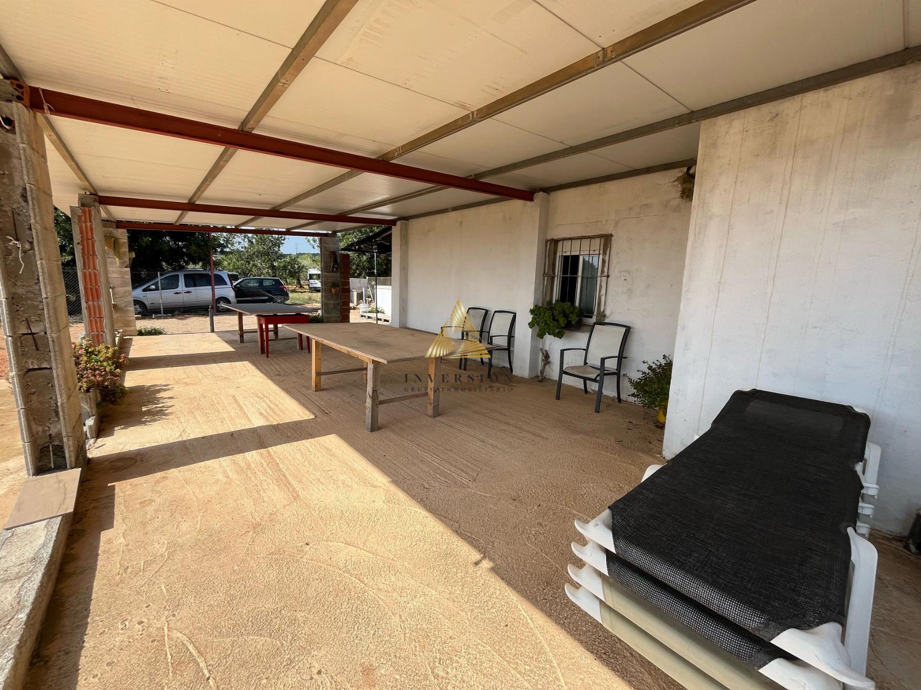Venta de finca rústica en Benicarló