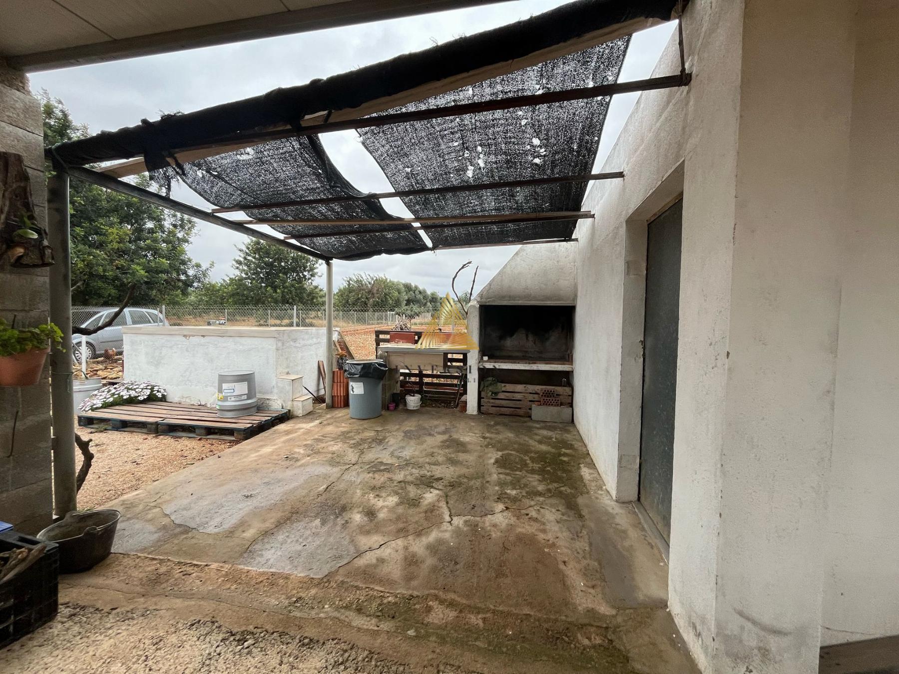 Venta de finca rústica en Benicarló