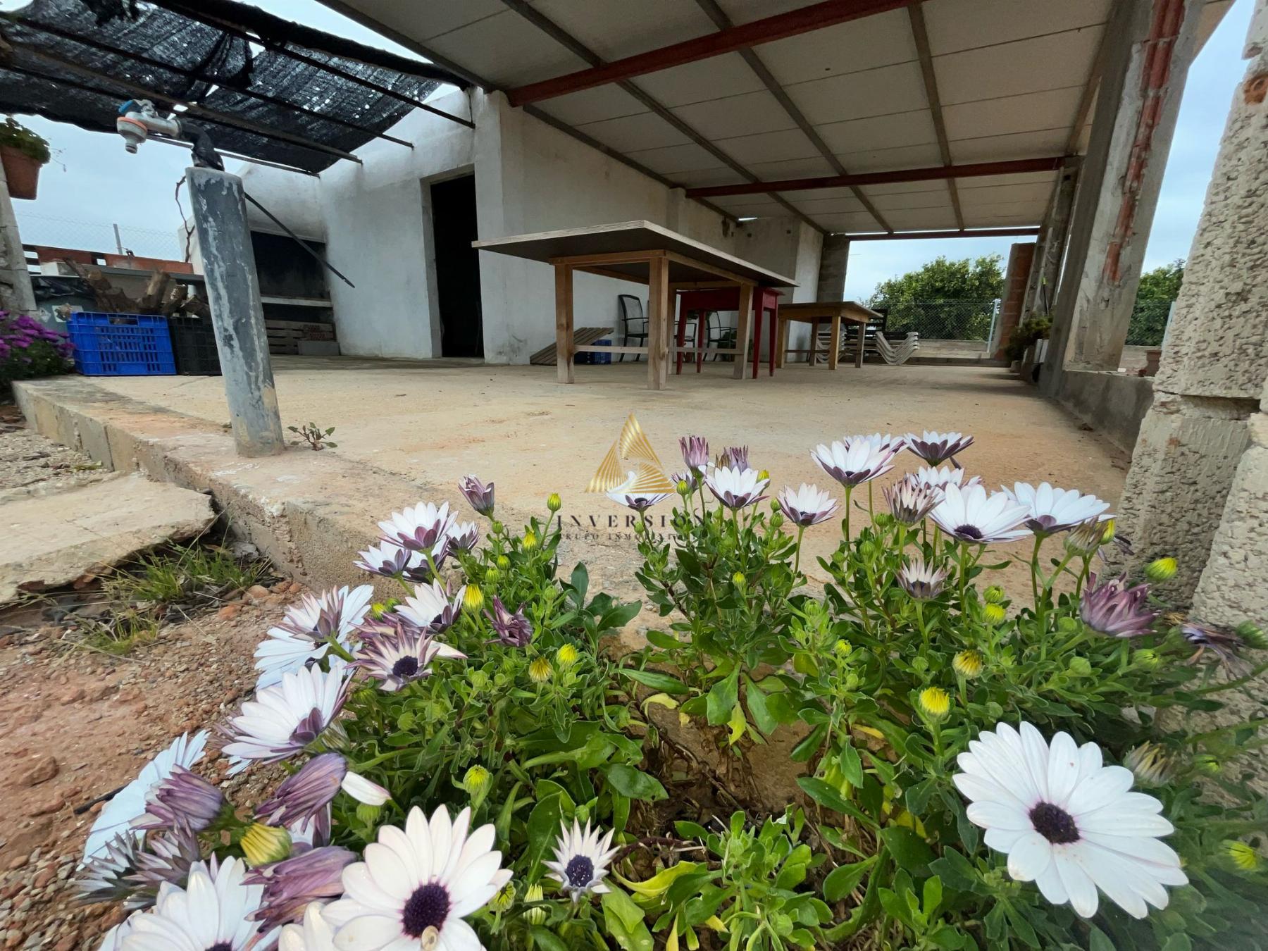 Venta de finca rústica en Benicarló