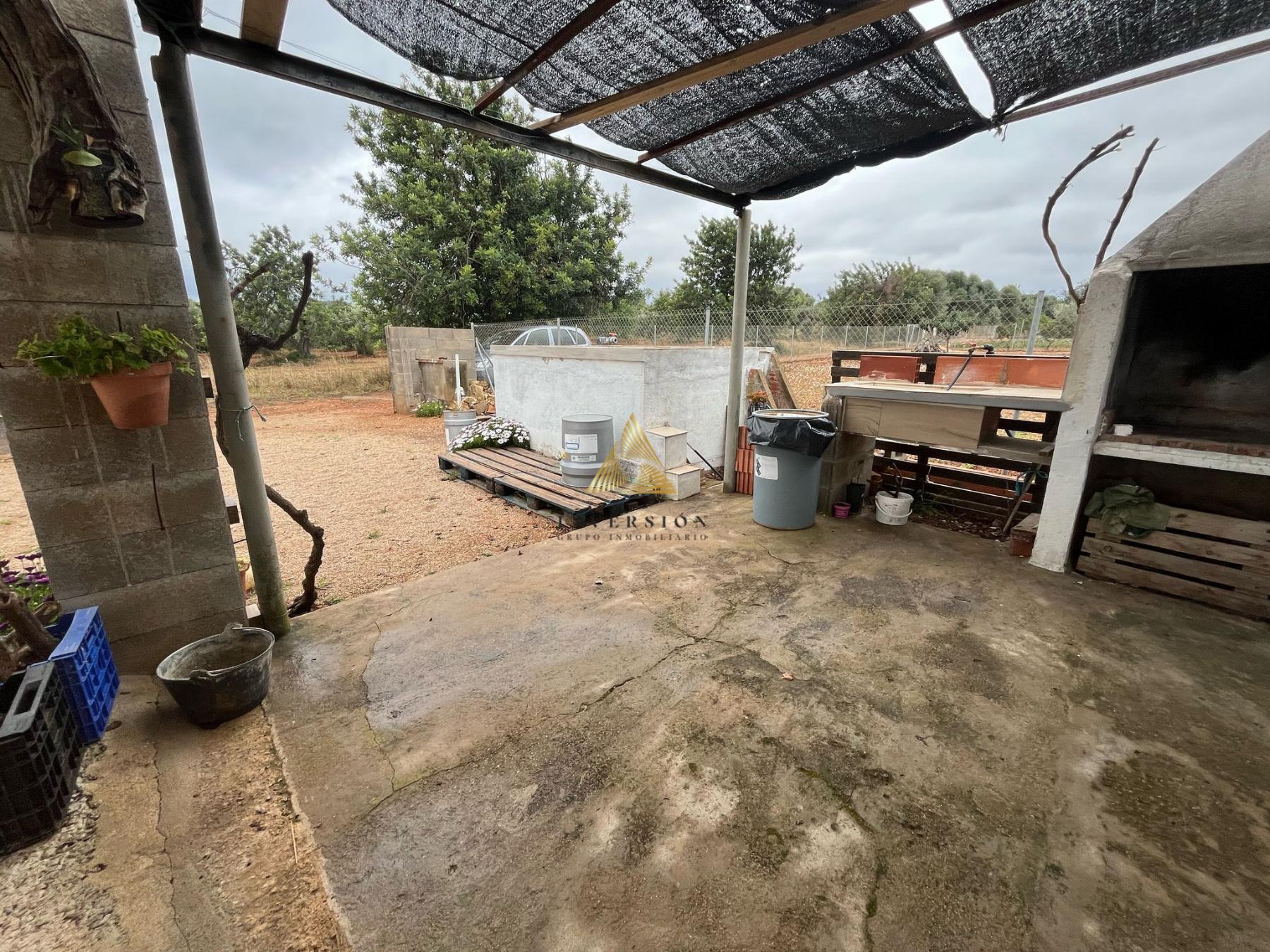 Venta de finca rústica en Benicarló