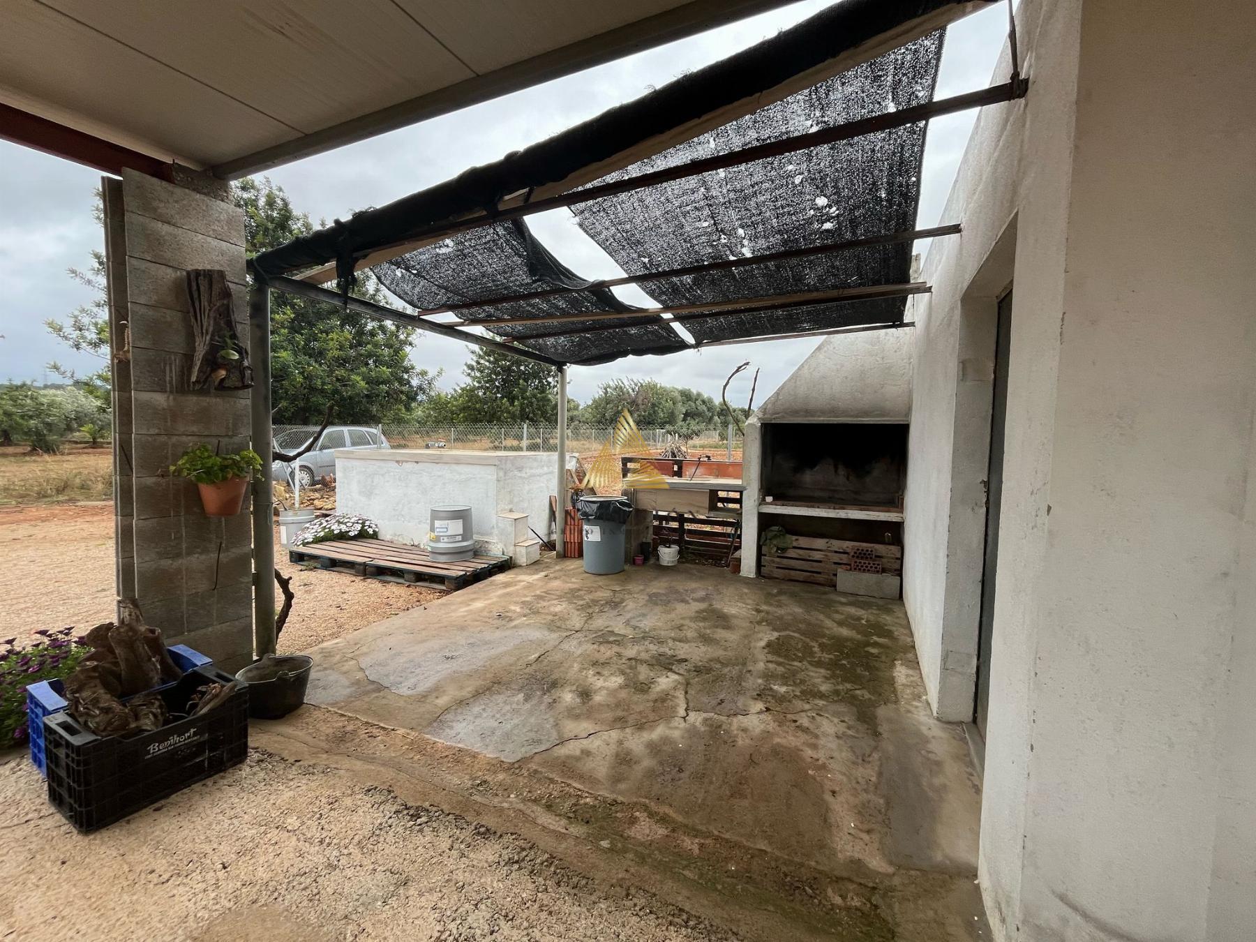 Venta de finca rústica en Benicarló
