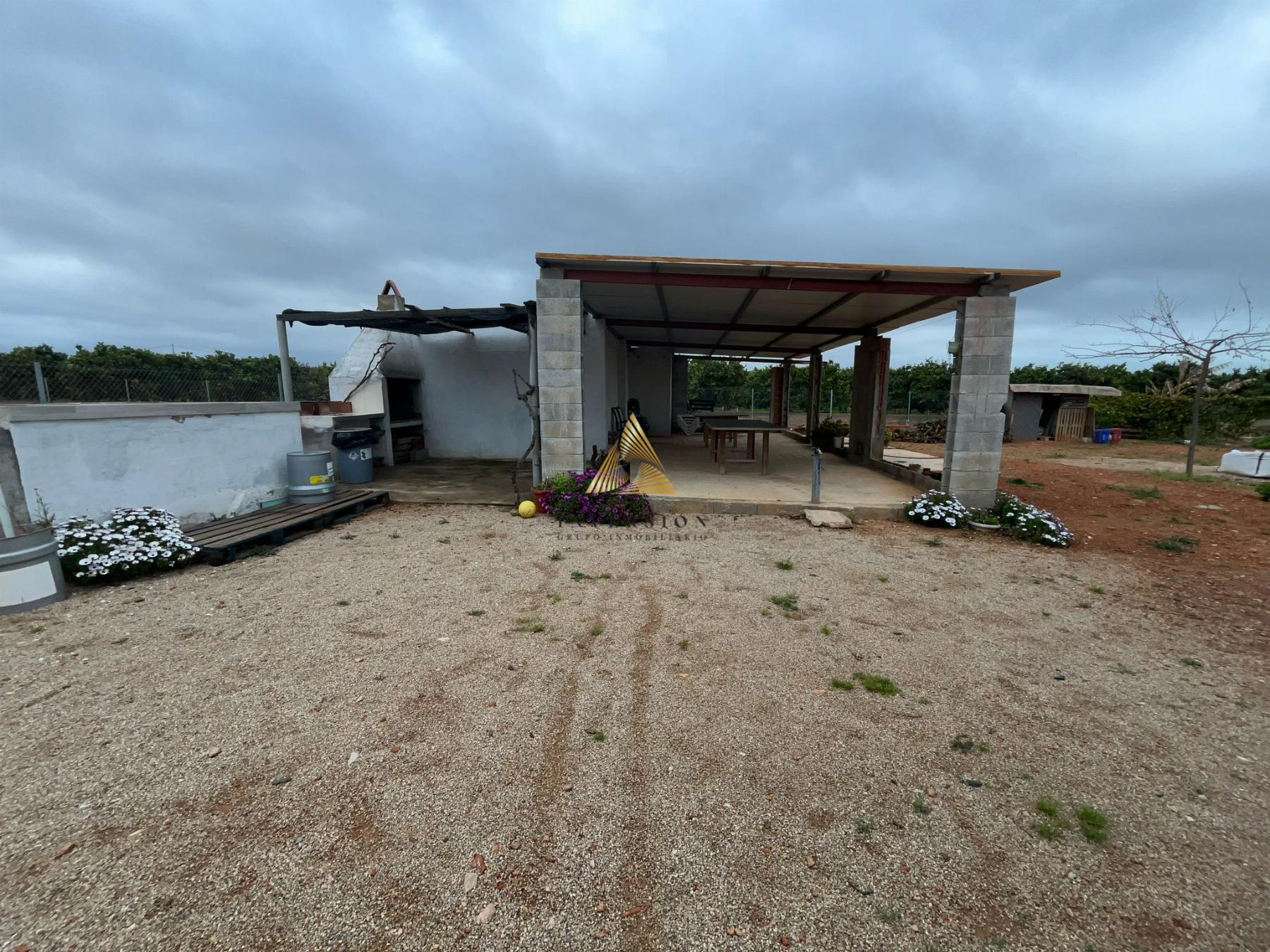 Venta de finca rústica en Benicarló