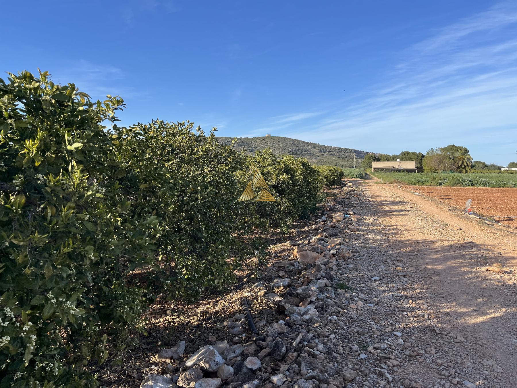 Venta de terreno en Benicarló