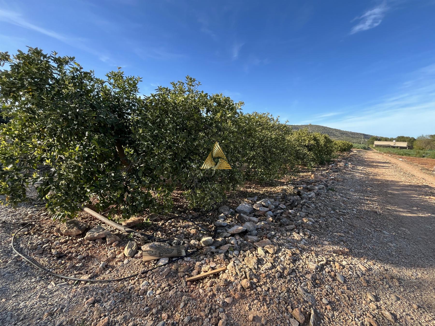 Venta de terreno en Benicarló