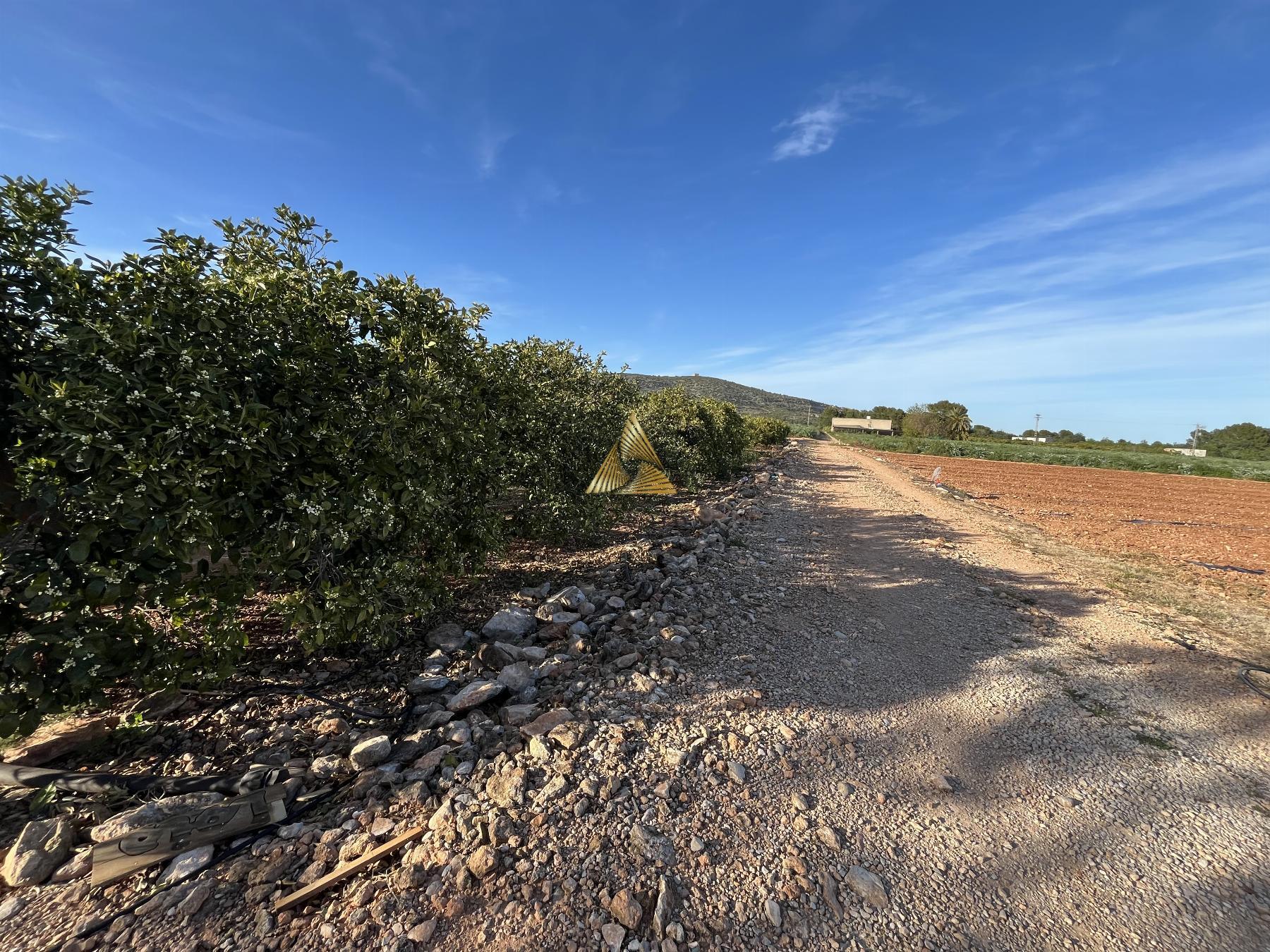 Venta de terreno en Benicarló