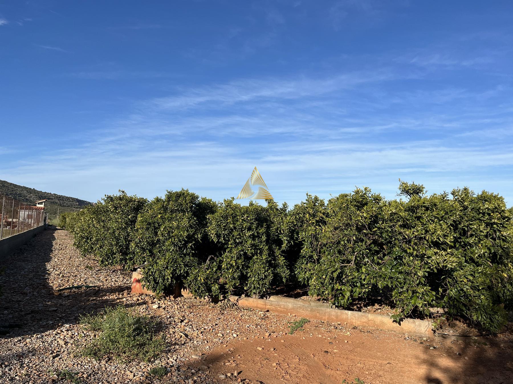 Venta de terreno en Benicarló