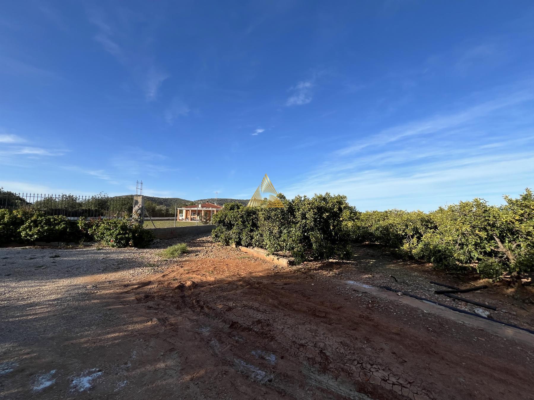 Venta de terreno en Benicarló