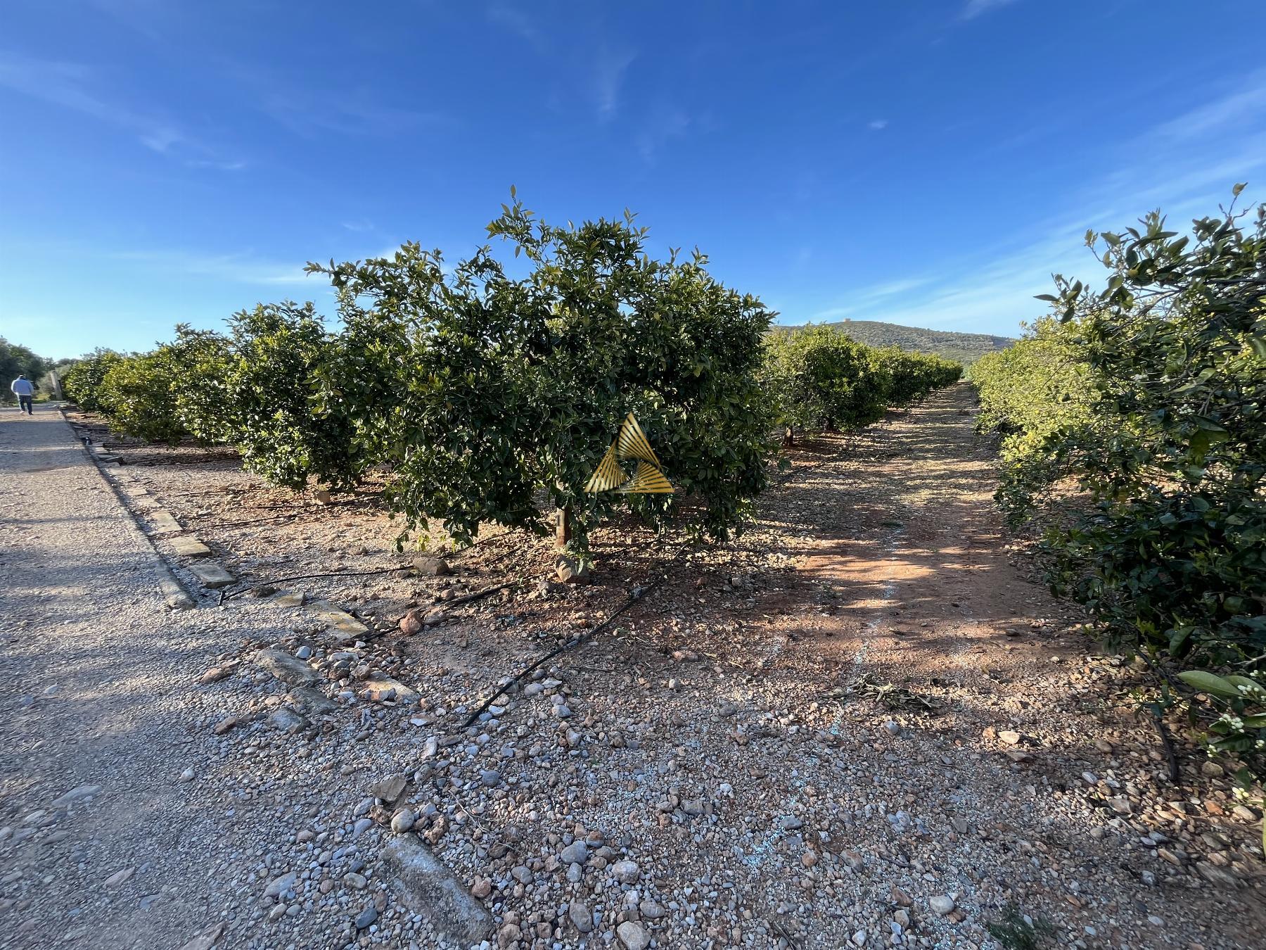 Venta de terreno en Benicarló