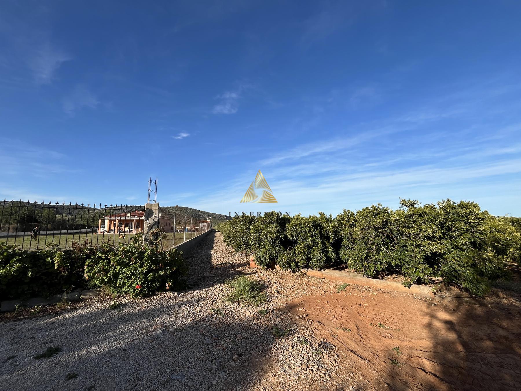 Venta de terreno en Benicarló