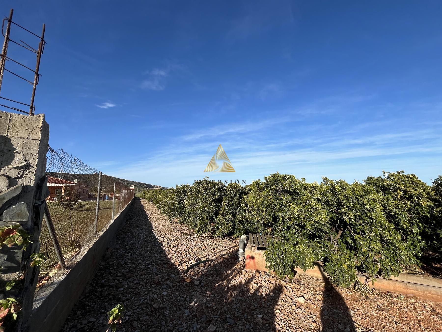 Venta de terreno en Benicarló