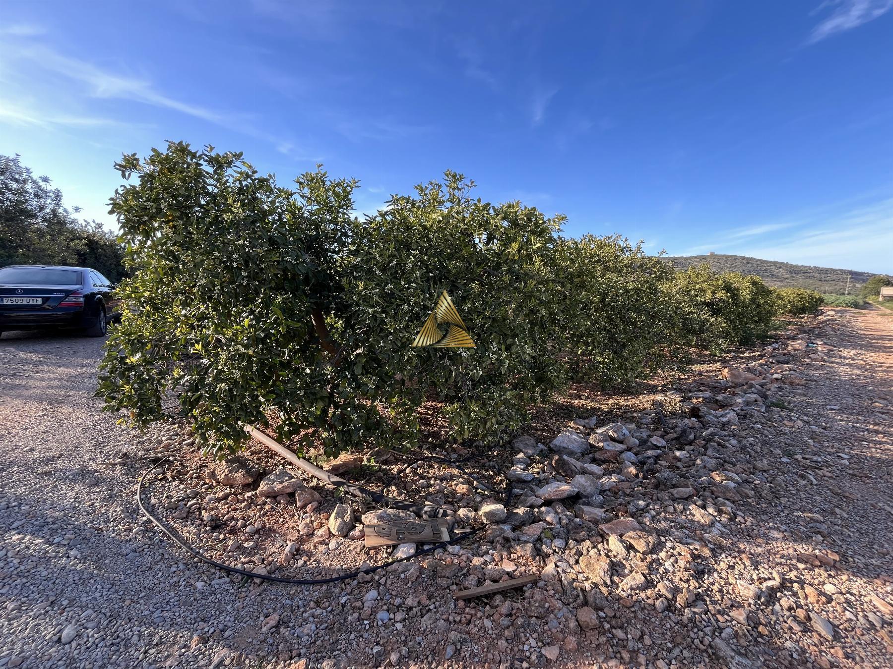 Venta de terreno en Benicarló